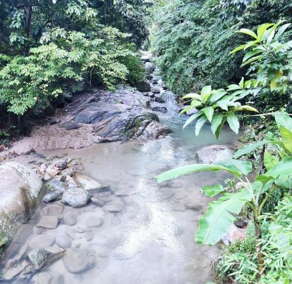 بنسيون Cozy Private Bunk Bed Room