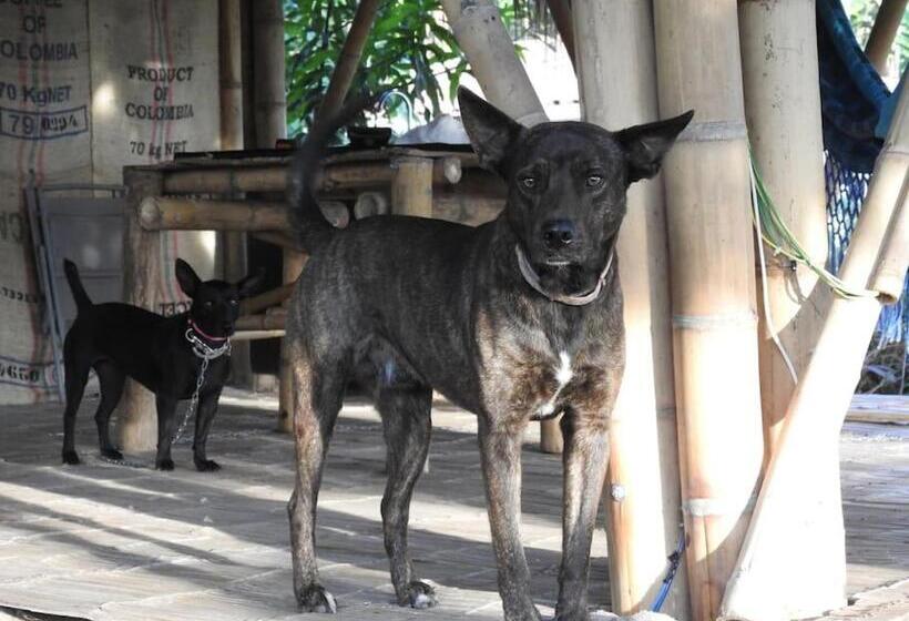 تختخواب و صبحانه Cabaña Privada