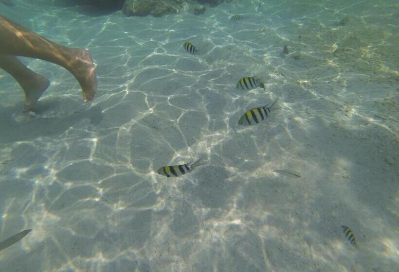 مبيت وإفطار Perhentian Chomel Chalet