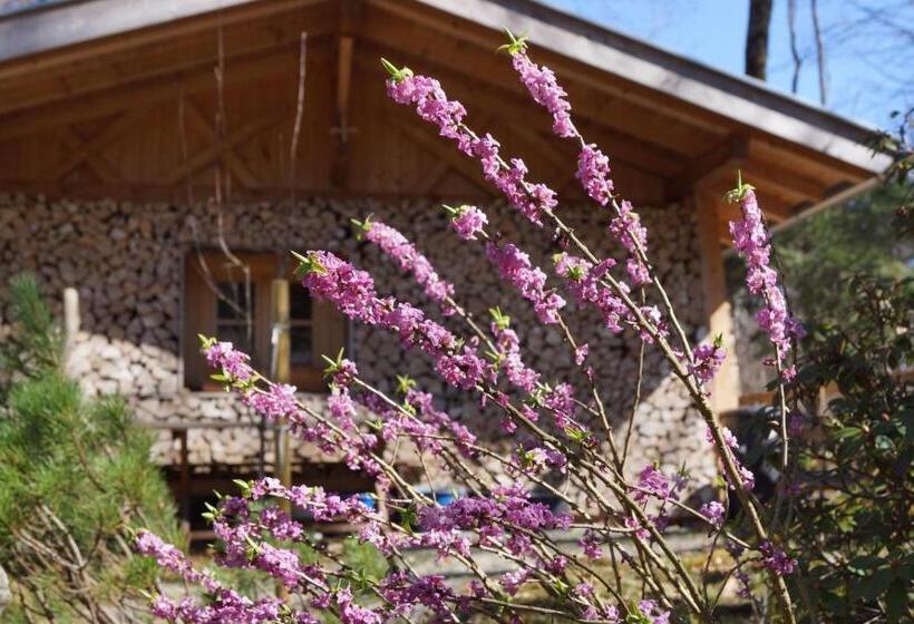 بنسيون Ferienhaus Waldwinkl