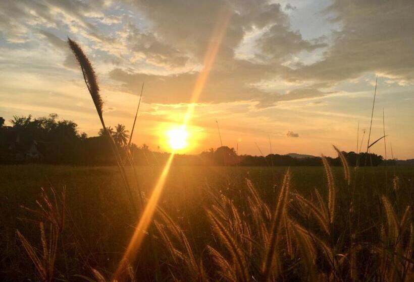 بنسيون Kawah Padi Garden Villa Langkawi