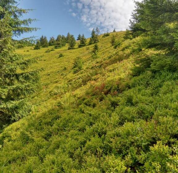 بنسيون Sadyba U Vani