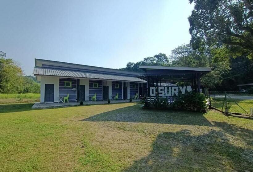 هاستل D  Surya Lavender Inn