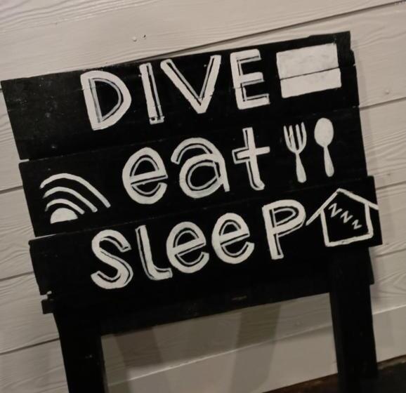 Общежитие Seahorse Diver Guesthouse