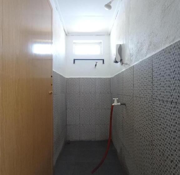 Общежитие Seahorse Diver Guesthouse
