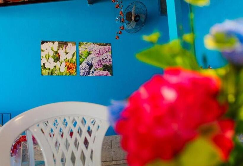 酒店 Pousada Beija Flor