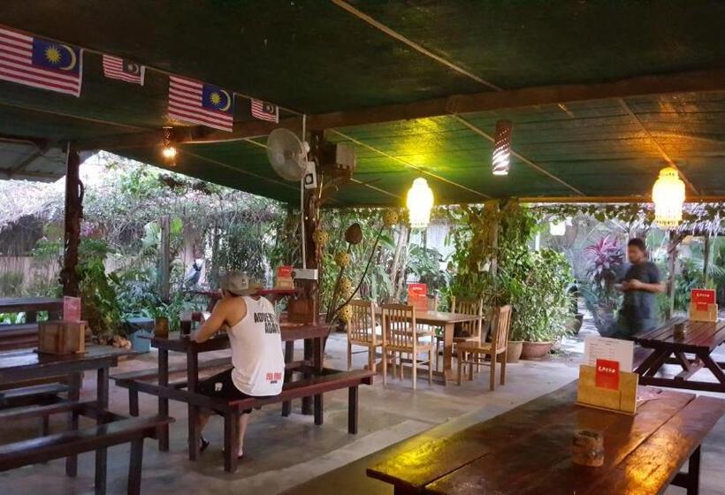 پانسیون Gecko Guesthouse