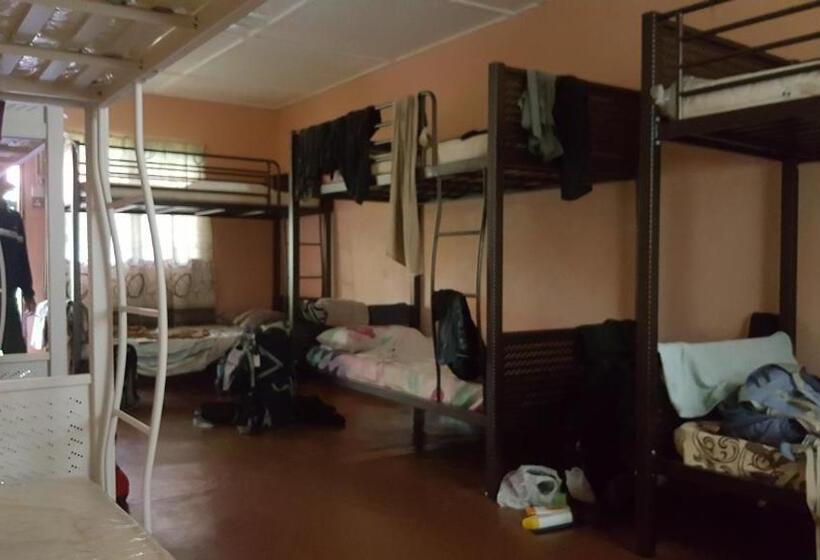 پانسیون Gecko Guesthouse