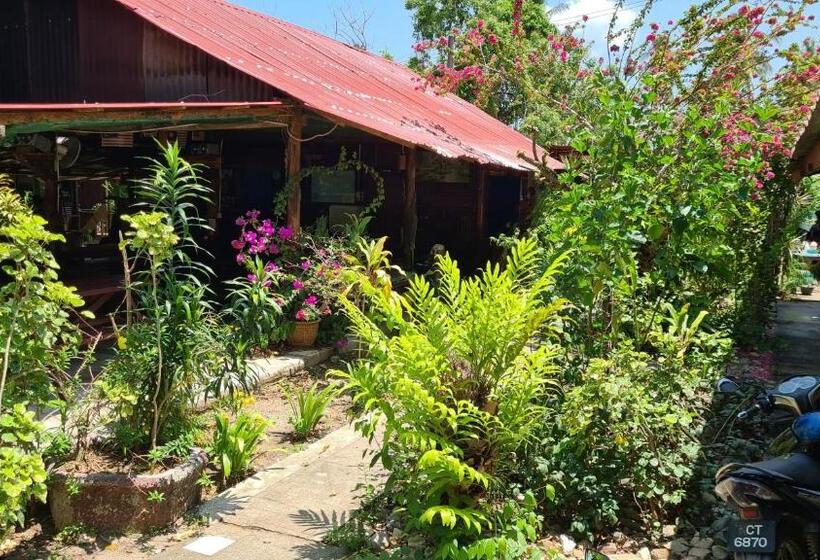 پانسیون Gecko Guesthouse