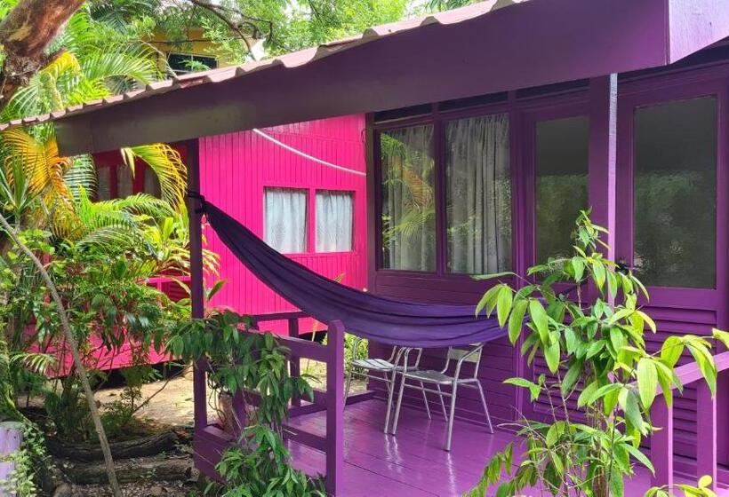 پانسیون Gecko Guesthouse