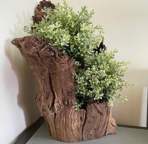 פנסיון Rubbiano River Cottage