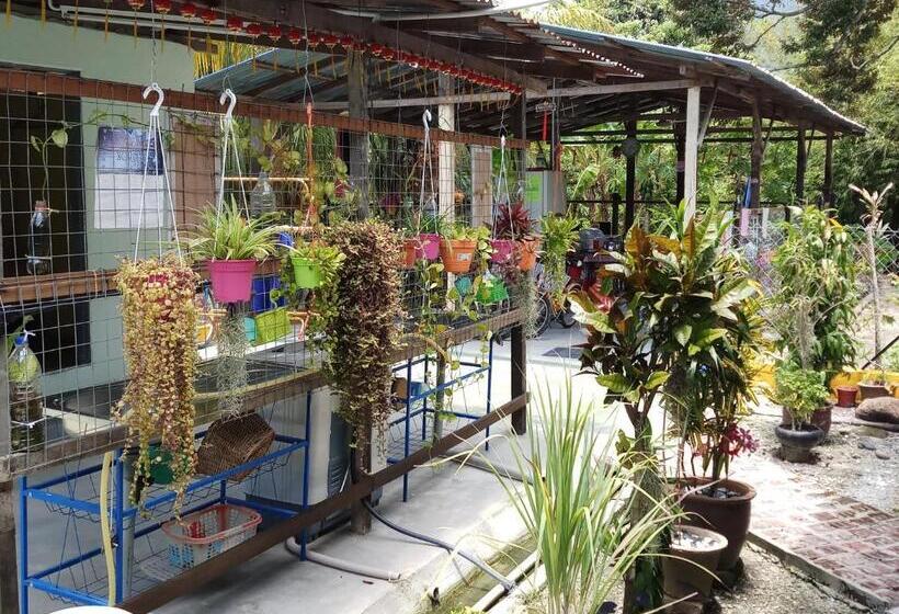 פנסיון Tony’s Guesthouse At Teluk Bahang