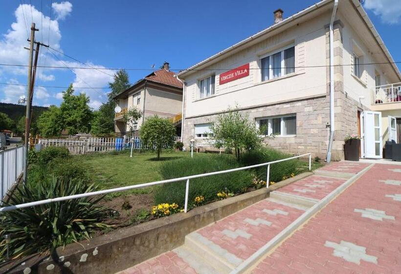 ペンション Vincze Villa Vendégház