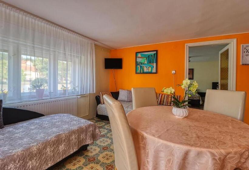 ペンション Vincze Villa Vendégház