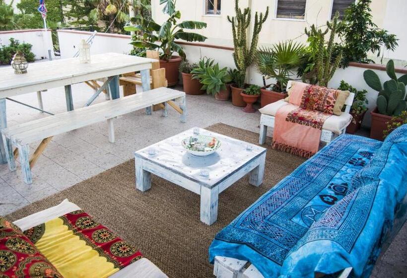 B&b Cactus