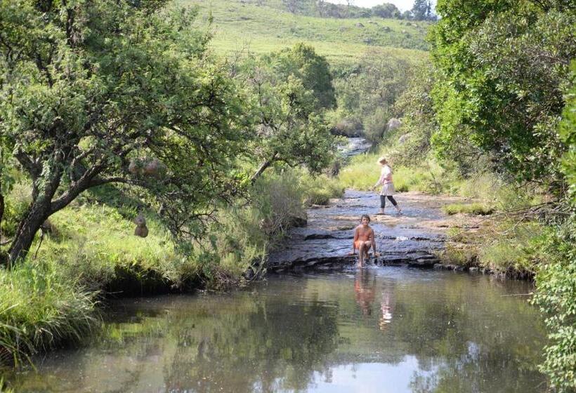 בית מלון כפרי Luiperdkloof Trout Lodge