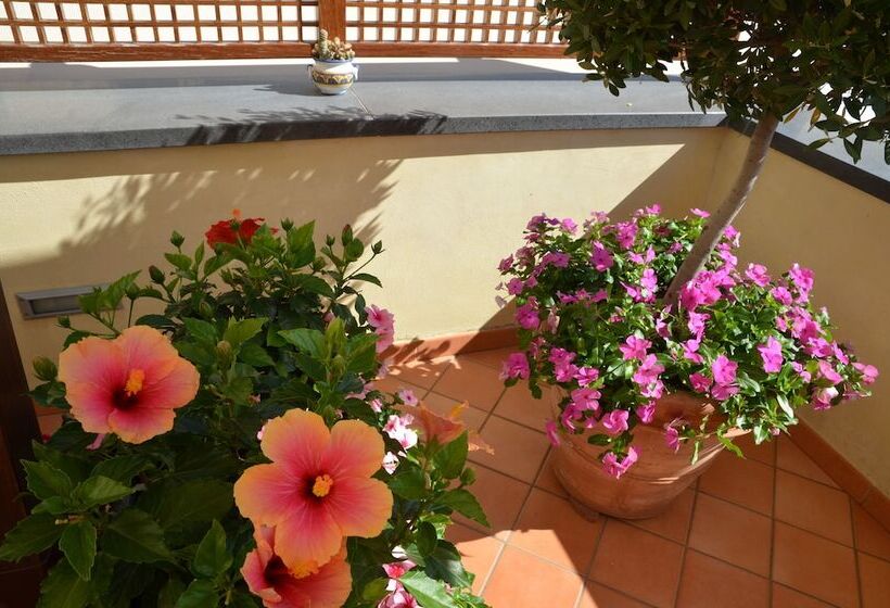 تختخواب و صبحانه Villa Maria