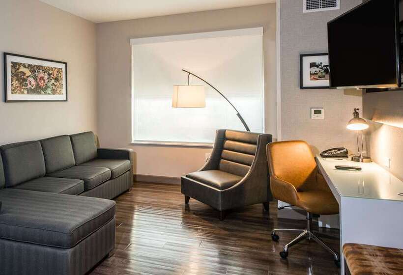 Cambria Hotel Mcallen Convention Center