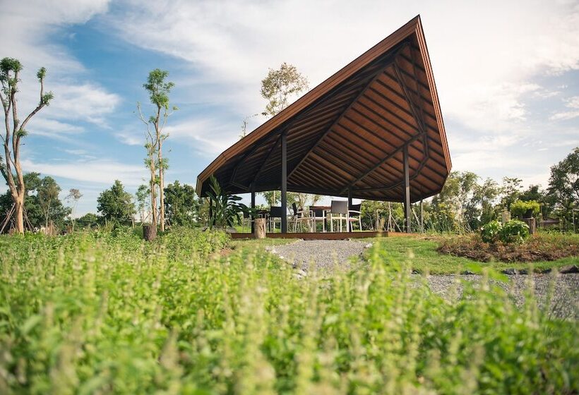 هتل North Hill City Resort  Sha Extra Plus