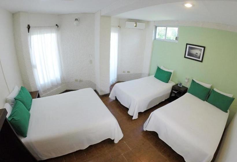 هتل Puerto Piedra