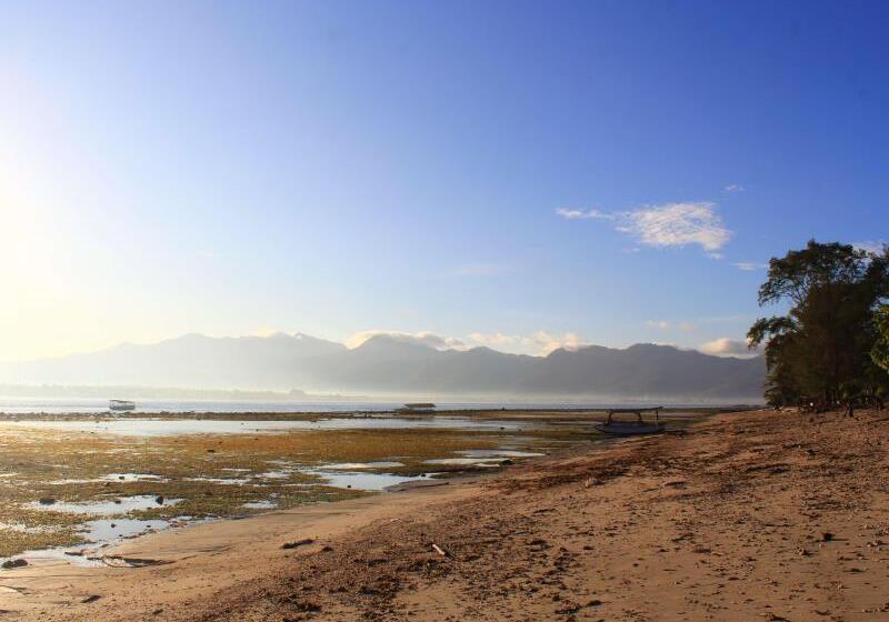 Отель Kaluku Gili Resort
