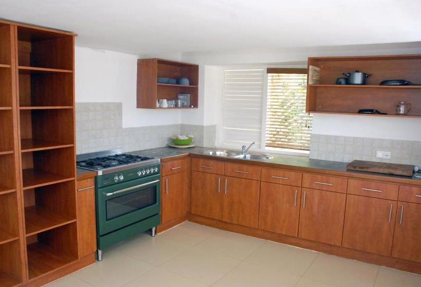 تختخواب و صبحانه Bnbbonaire Near The Ocean