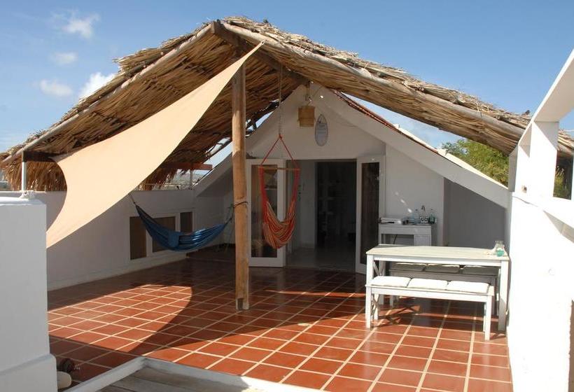 تختخواب و صبحانه Bnbbonaire Near The Ocean