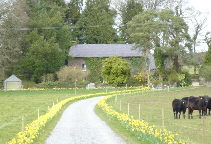 تختخواب و صبحانه Cullintra House