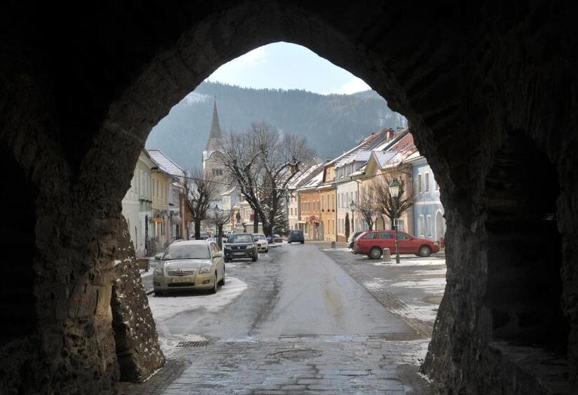 住宿加早餐  Pension Geissler Reicher