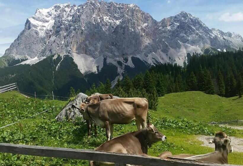 Das Halali   Dein Kleines Hotel An Der Zugspitze