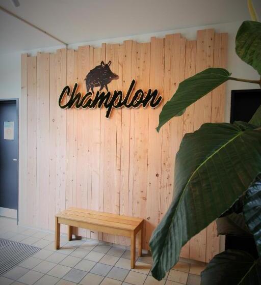 Общежитие Auberge De Jeunesse De La Roche Champlon