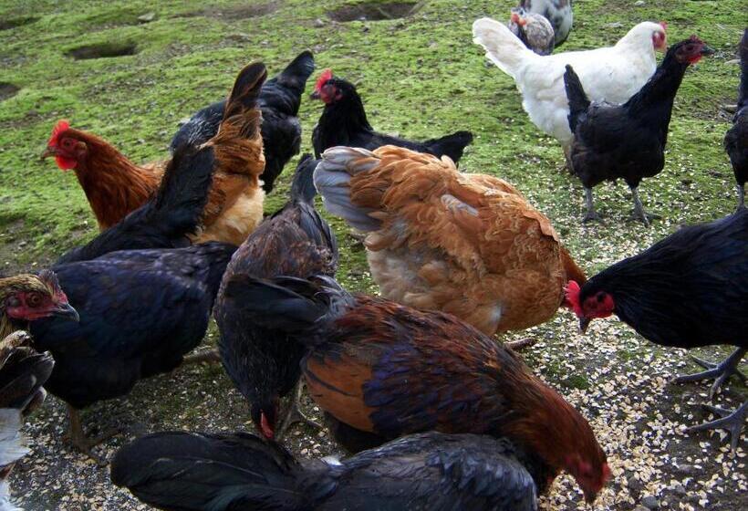 فندق صغير Valley Lodge Room Only Guest House