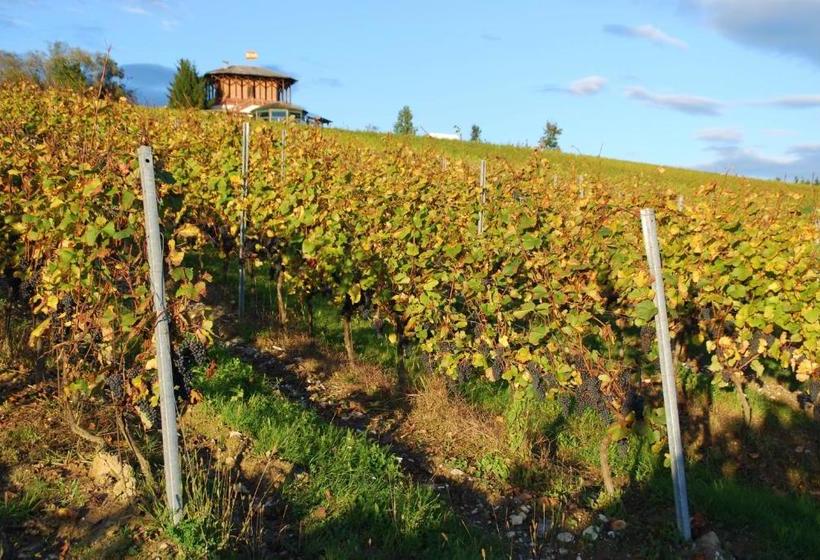 בית מלון כפרי Panoramahof Ziegler