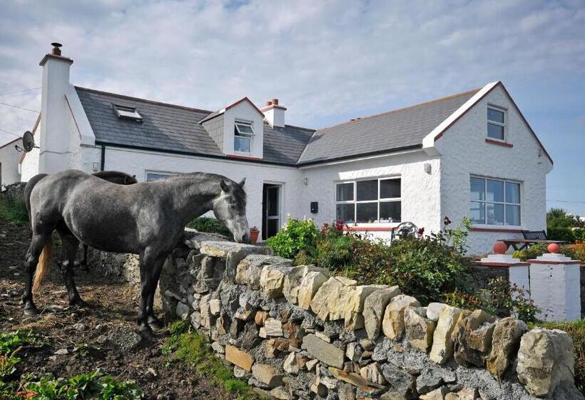 The Olde Castle B&b