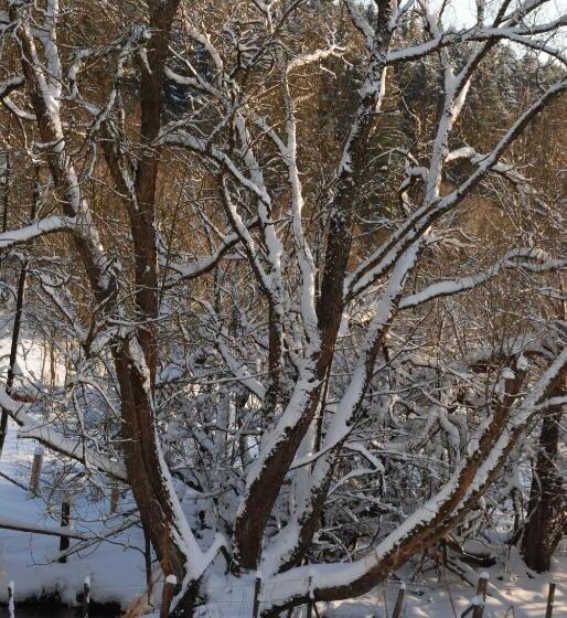 B&b Het Groote Genoegen