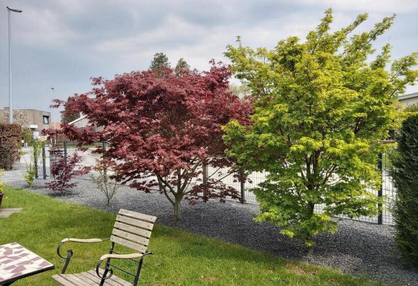 B&b Sogni D'oro