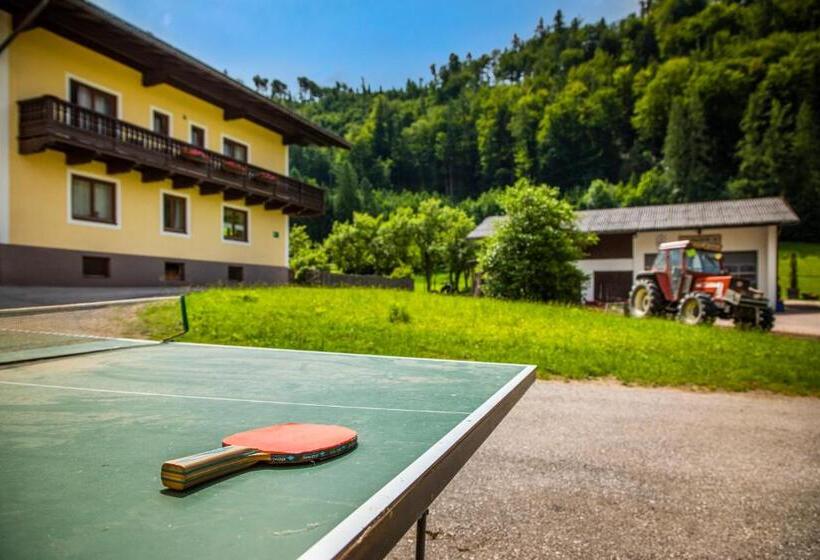 Bed and Breakfast Hinterkellaubauer