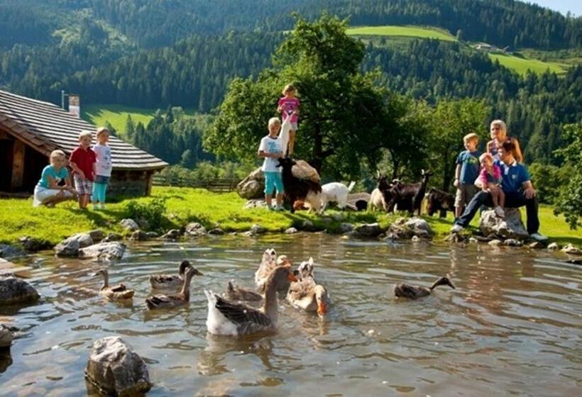 בית מלון כפרי Alpenrose Mühlbach Am Hochkönig