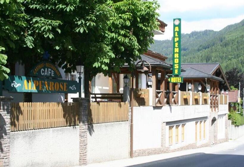 בית מלון כפרי Alpenrose Mühlbach Am Hochkönig