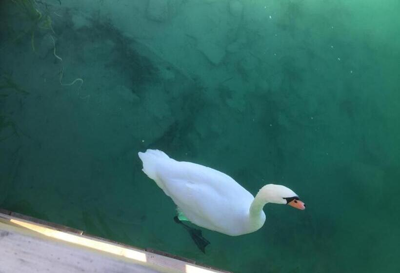 هتل Villa Auguste