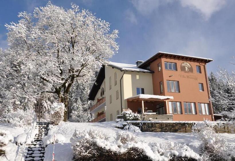 هتل Villa Blumegg