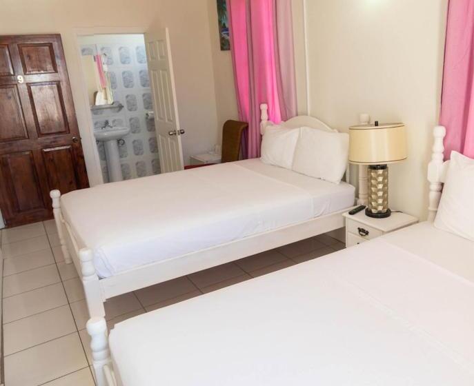 مبيت وإفطار St. James Guesthouse