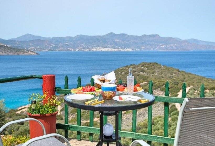 Anemone Seaside Traditional Homes