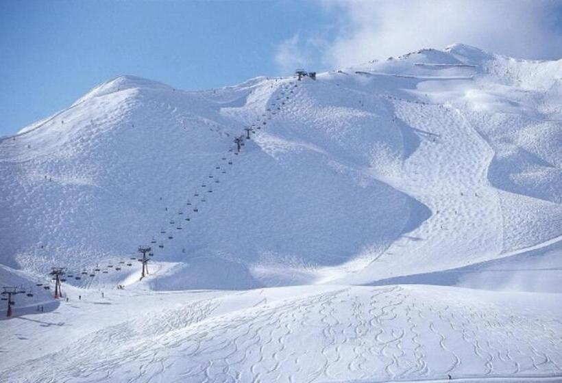 فندق Binggl