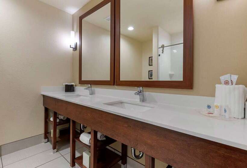 בית מלון כפרי Comfort Suites Greenville South