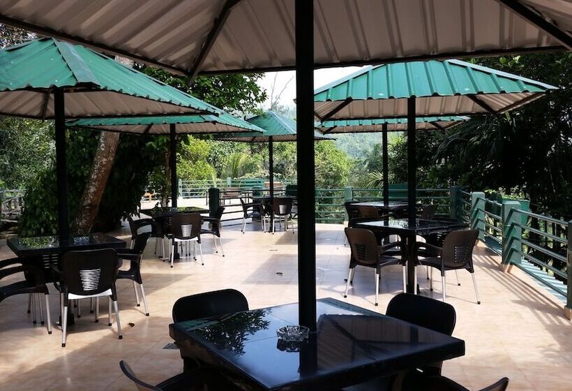 فندق Rainforest Lodge