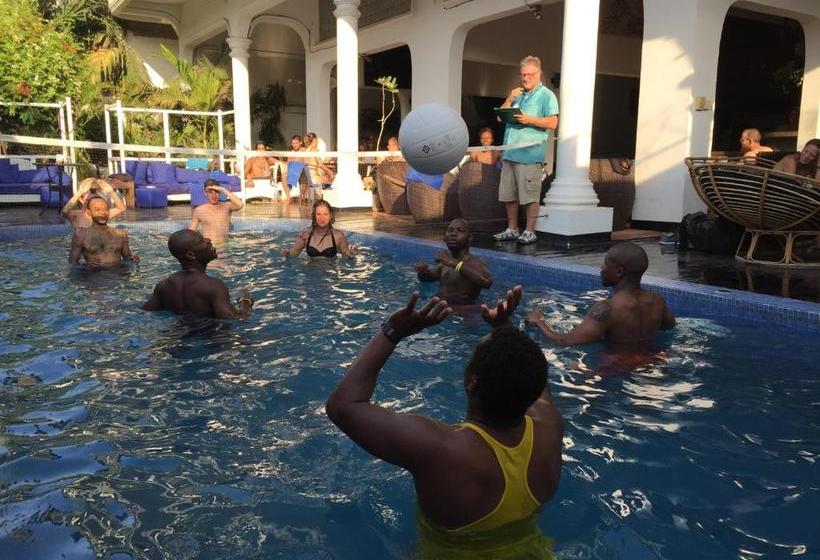 Eighty8 Backpackers  Hostel