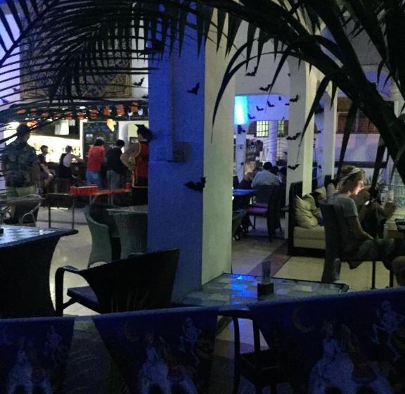 Eighty8 Backpackers  Hostel