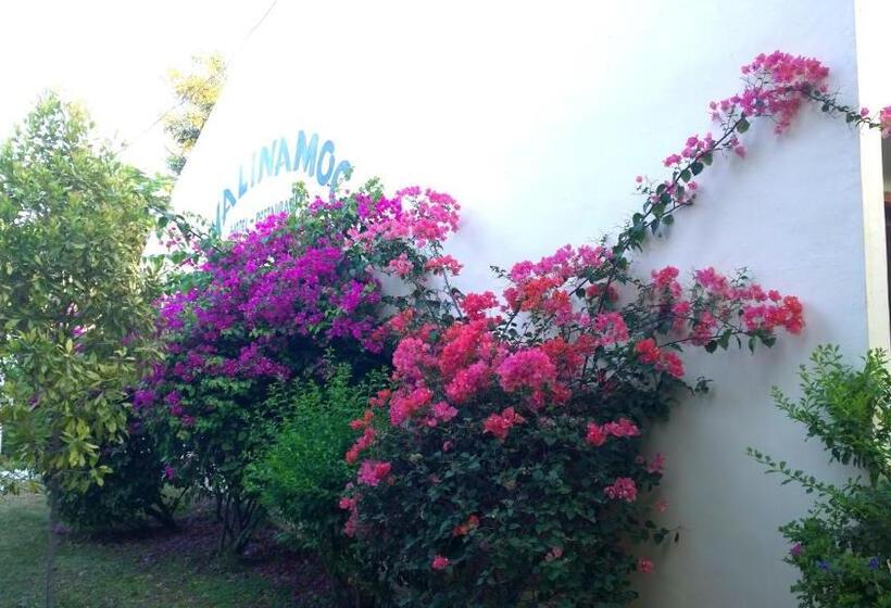 Resort Palm Malinamoc