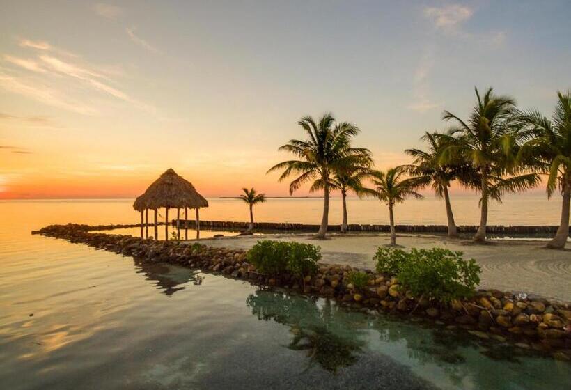 منتجع Royal Belize